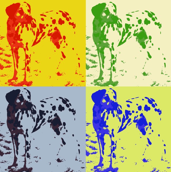 Toby