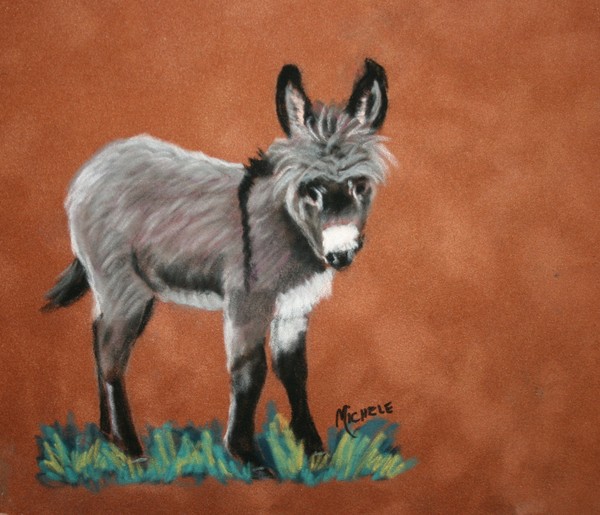 Poncho