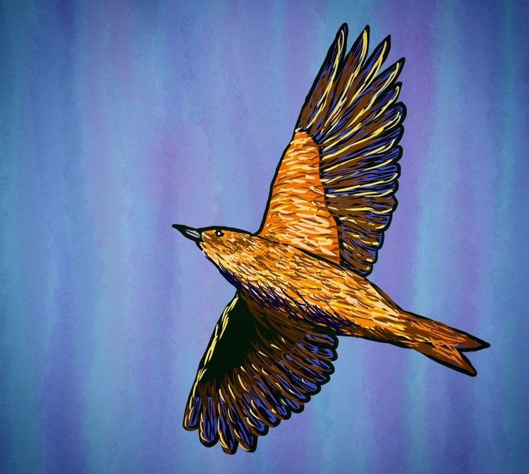 Redwing