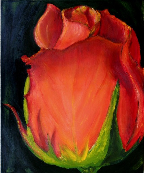 The Rosebud