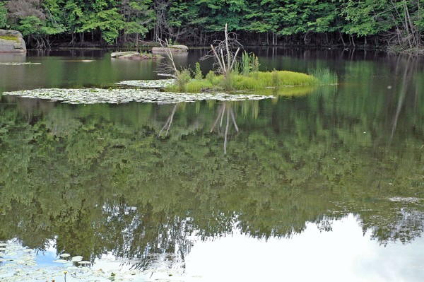 Reflections in a Pond