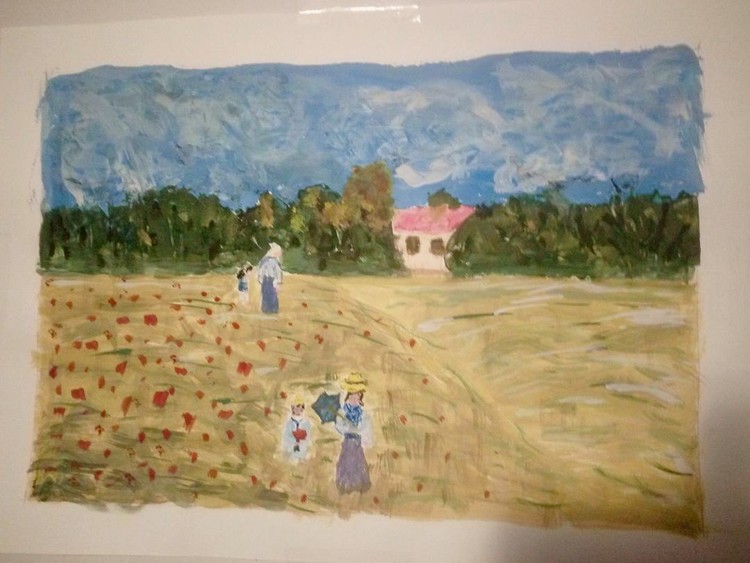 camp cu maci...