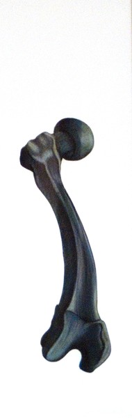 Femur