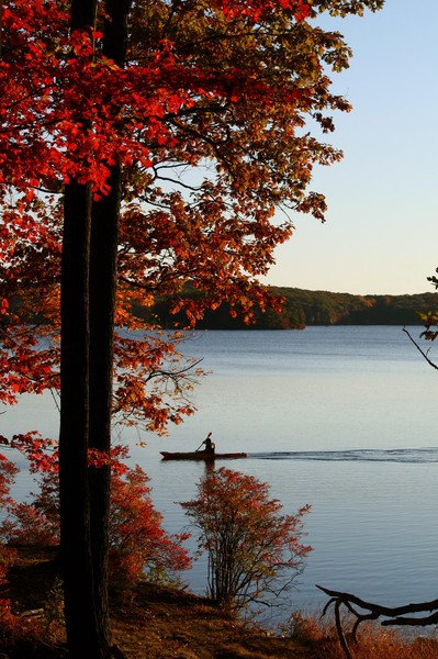 Man in Kayak in Lake Tiorati