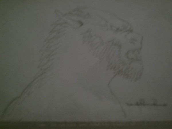 new by danilo  rivera ramos