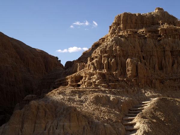 Desert Landscape