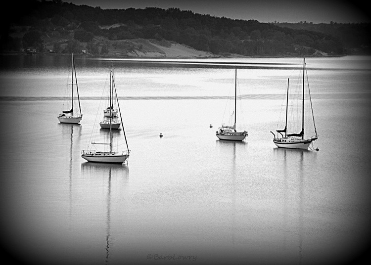 Peaceful Harbor