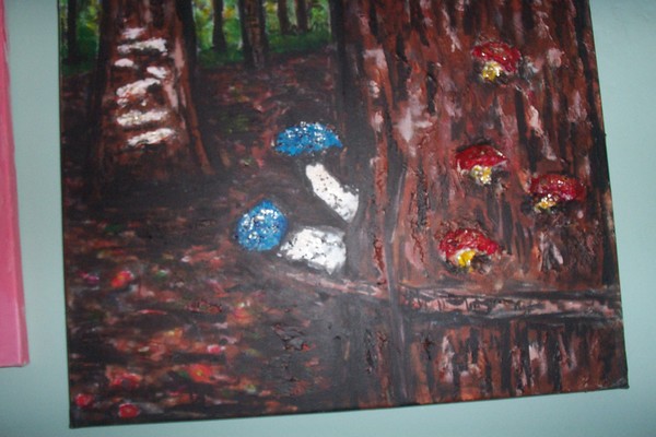 tree mushrooms