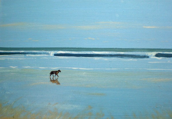 dog by the beach
