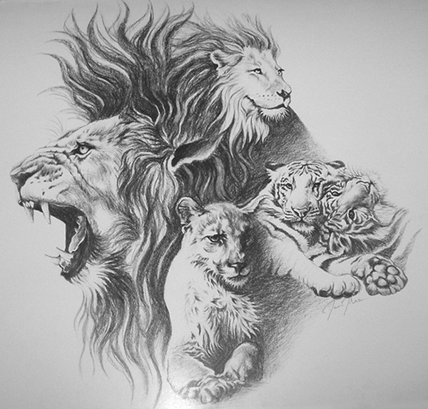 Cats