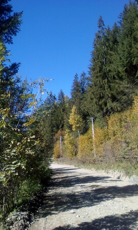 Road in mountain area
