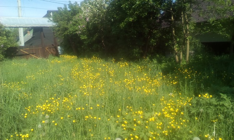 My courtyard in May!