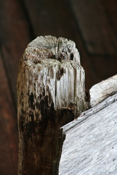 Still Standing