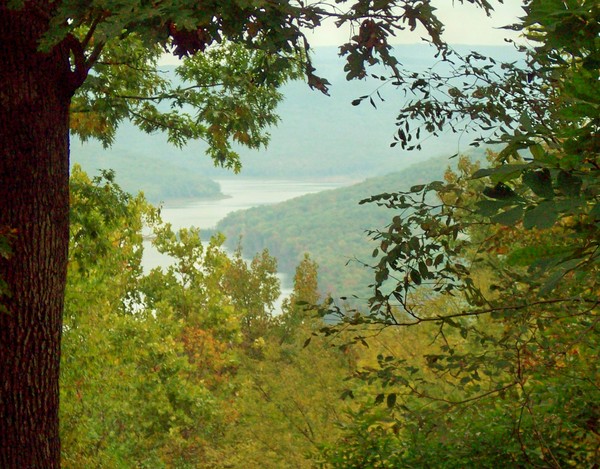 A Glimpse of Beauty