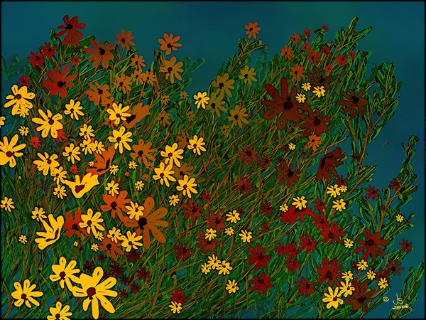 Wild Flowers