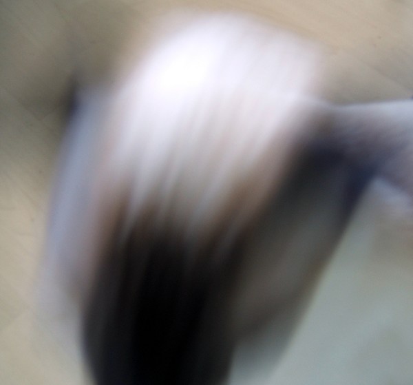 Swoosh
