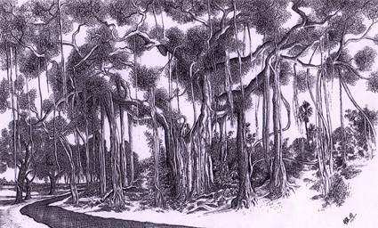 Banyan Tree