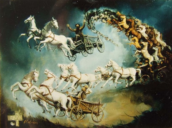 Horses