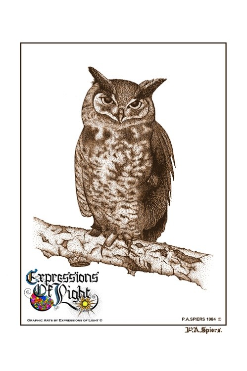 ExpoLight-Graphic-Arts-Owl-1984-0001 (Pen-&-Ink-Sepia-SP)
