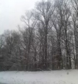 Snow