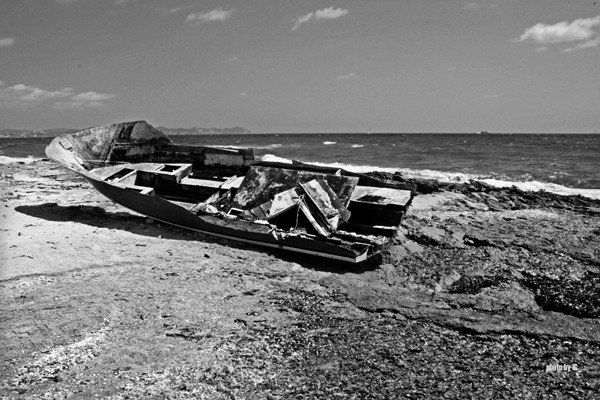 spangled roots fouled by dull waves of modernity 