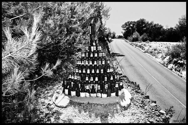why don't we do it in the road?