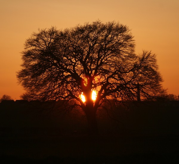 Sunset Boughton