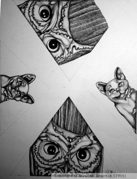Night Watchers