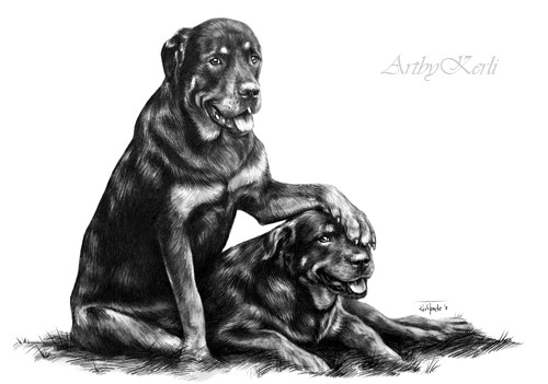Kona & Bubba