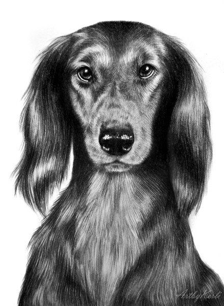 Doxie