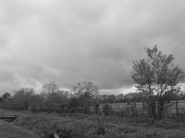 Storm Clouds