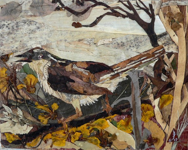 Brown Bird