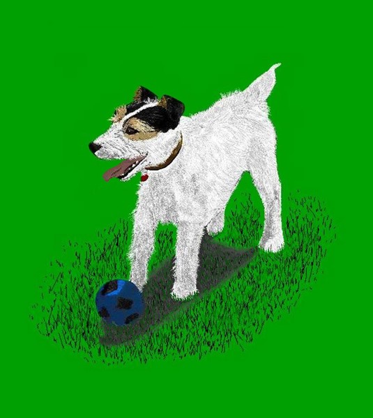 Amigo and His Ball