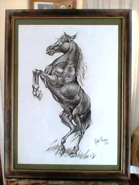 caballo 5