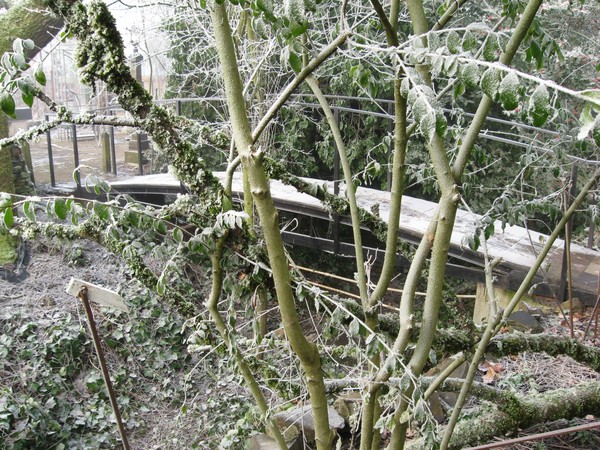 ice bridge