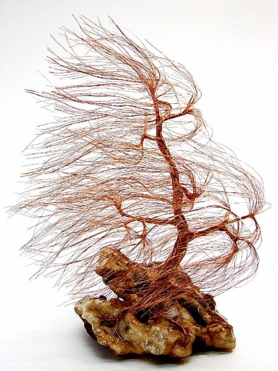 1237 wind swept copper weeping willow