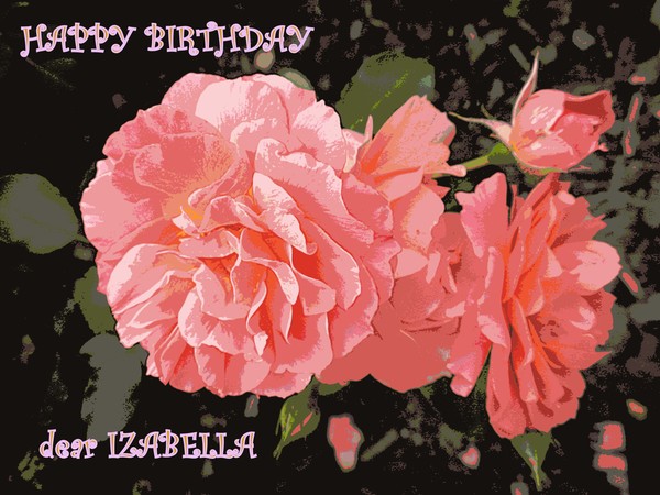 Roses for Izabella
