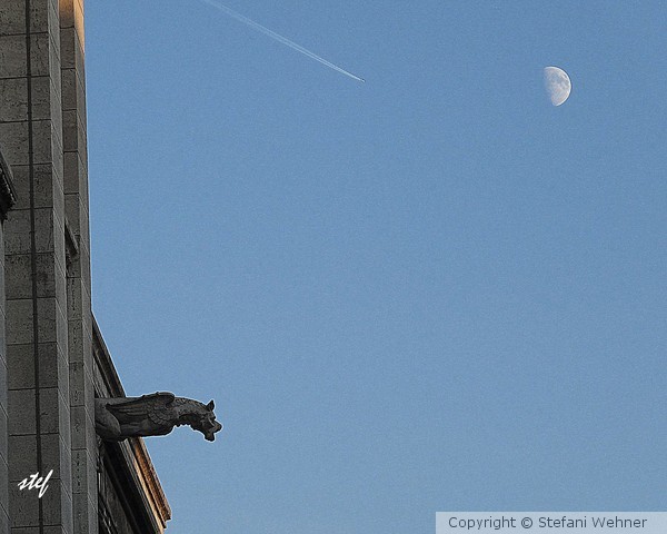 gargoyle serenade