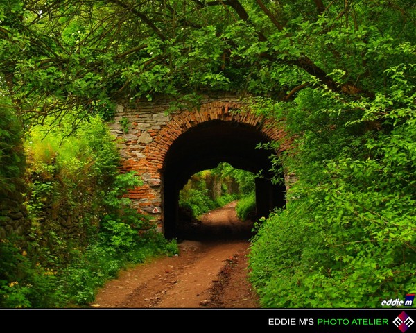 On Duty For A Millenium