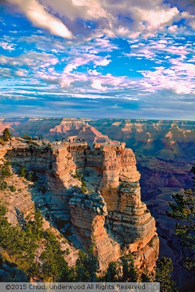 Grand Canyon Vista 