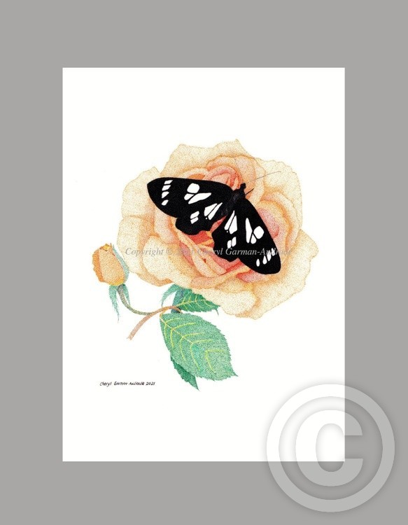 Wild Forget Me Not and Rose Ink Pointillism