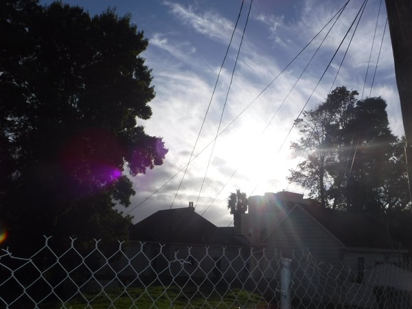 Yesterday's Rays