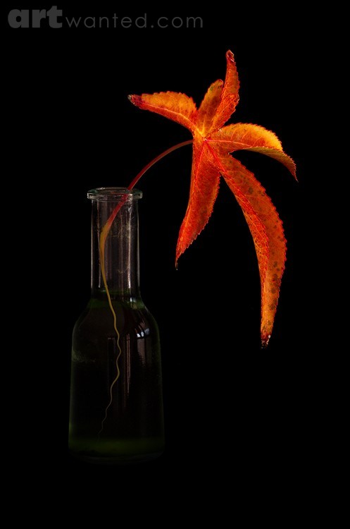 Colours with Poetic Touch