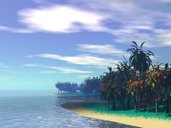 Sun and Shadow- Tropical Island