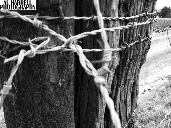 Barbed