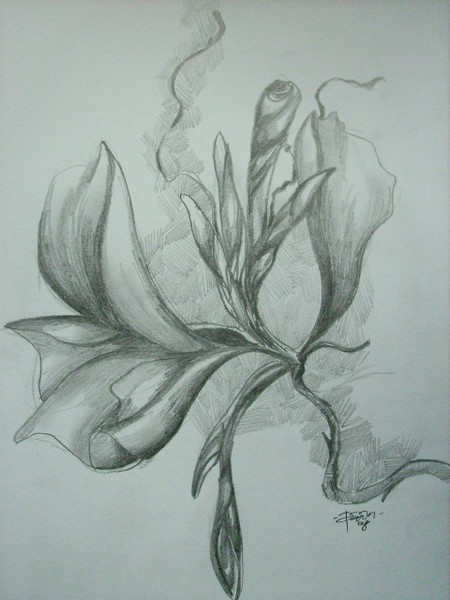 sketch
