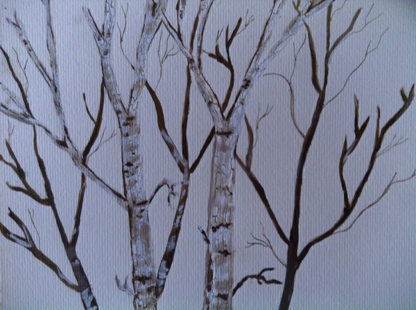 Birches