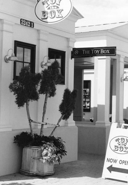 The Toy Box