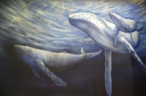 3 Whales