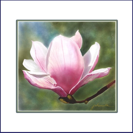 Spring Essence One